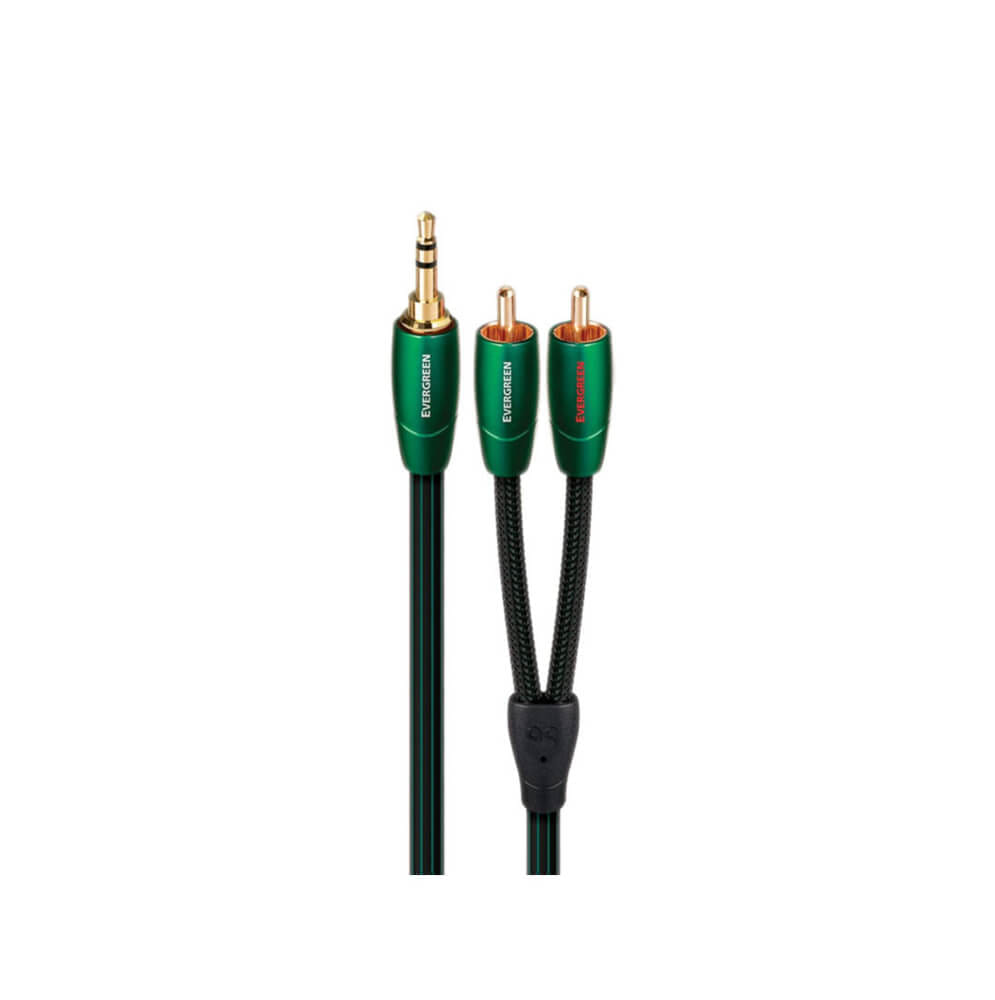 สายสัญญาณอนาล็อก AUDIOQUEST : EVERGREEN (MINI TO RCA) (1.0M)_0